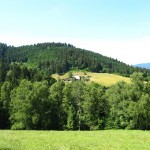 Idylle im Schwarzwald