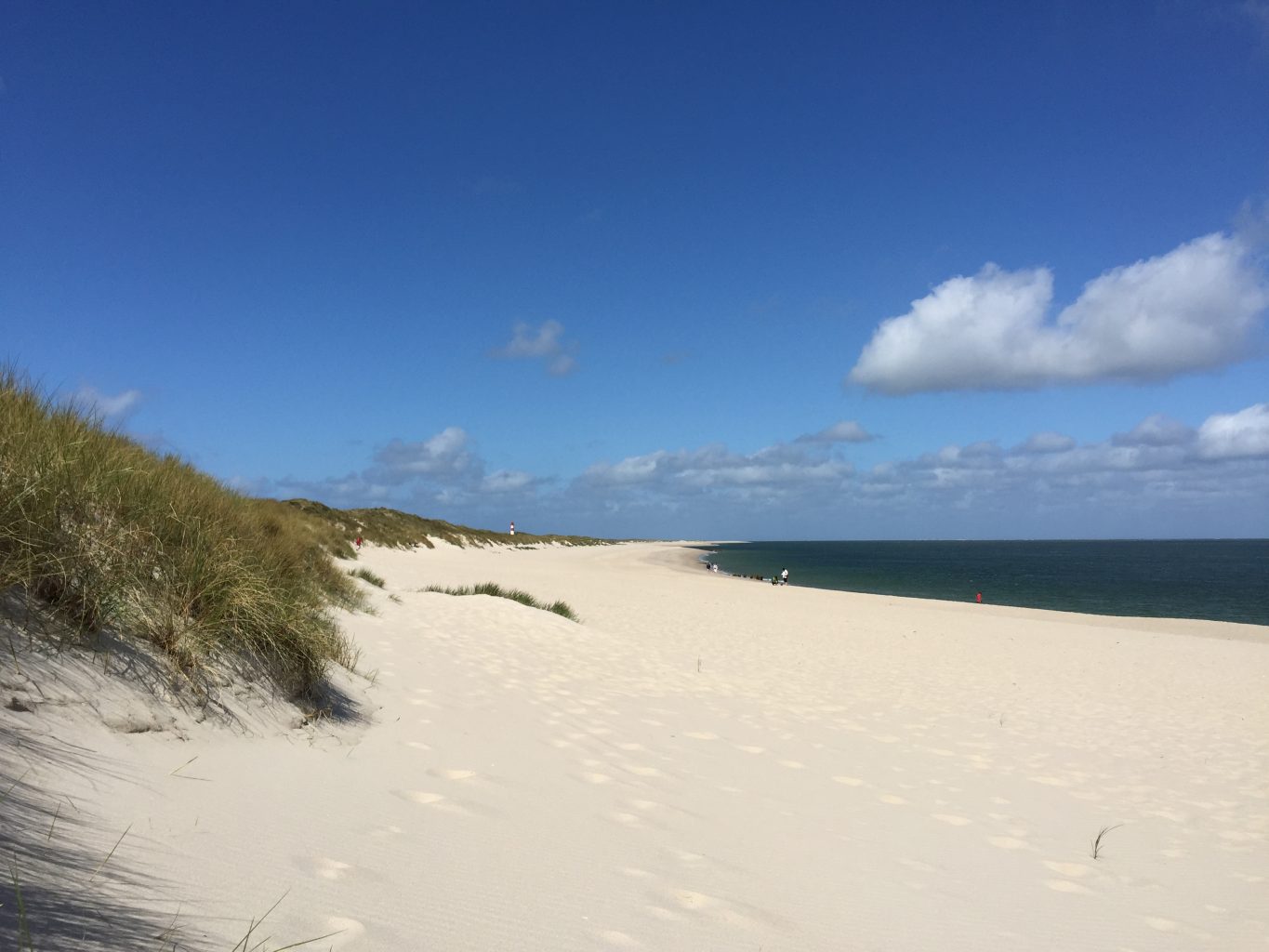 Strand Ellenbogen, Sylt