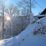 Winter im Schwarzwald