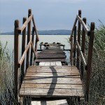 Balaton Steg