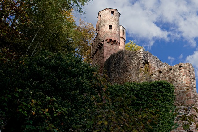 Burgruine in Neckarsteinach