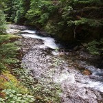 canyon in den kanadischen wäldern