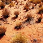 outback australien landschaft