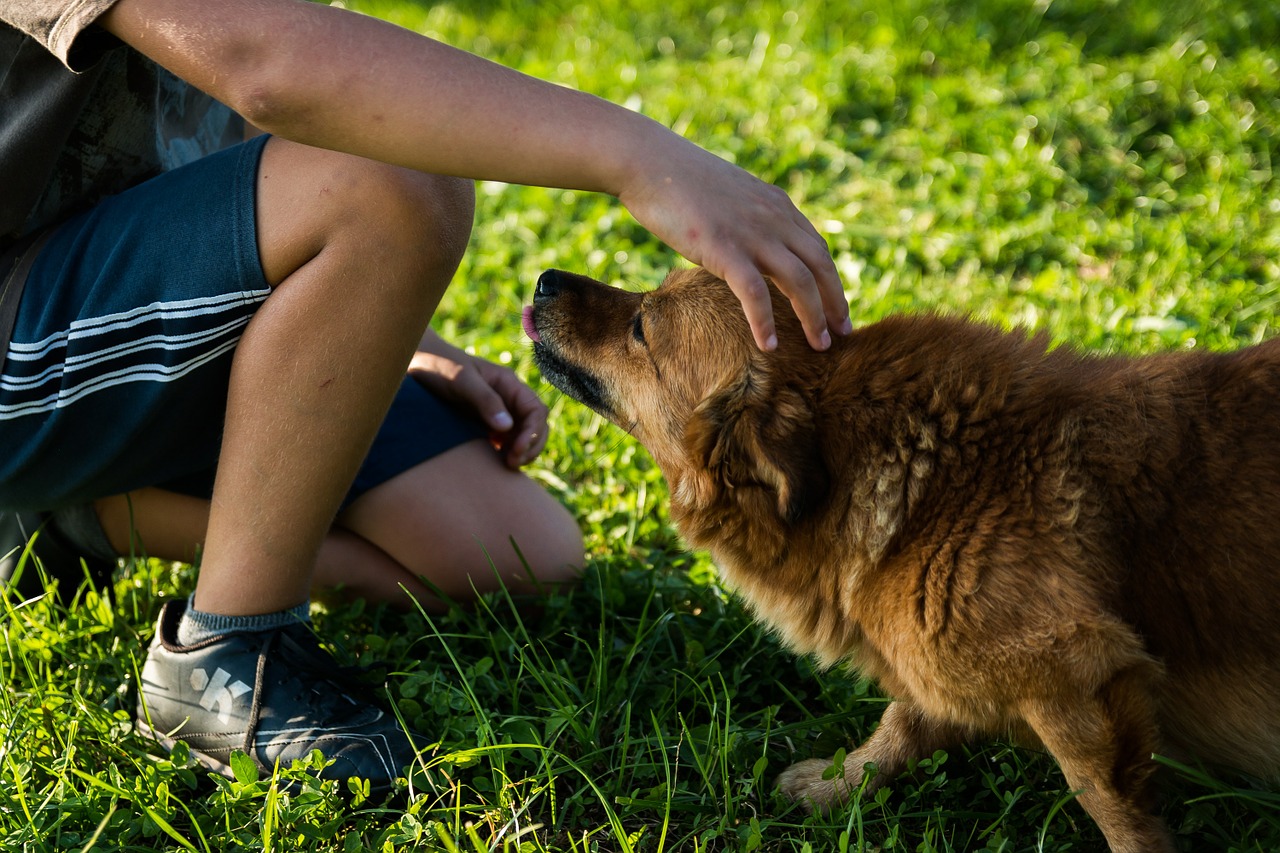 Junge mit Familienhund