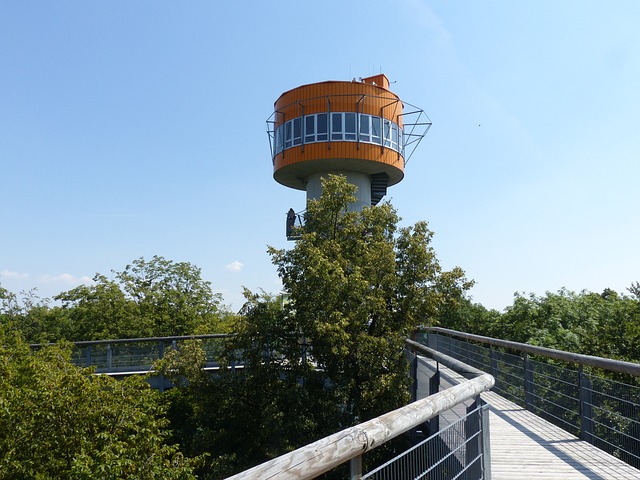 Turm Baumkornenpfad