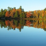 Waldsee