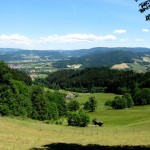 schwarzwald hügel