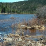 yukon river kanada