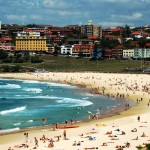 Bondy beach sydney