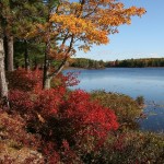 acadia-national-park