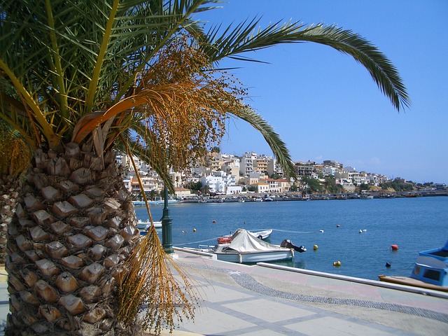 Palme am Strand