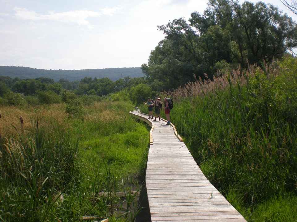 Wandergruppe Appalachian Trail