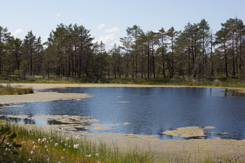 Camping für Sparer: Estland und Polen