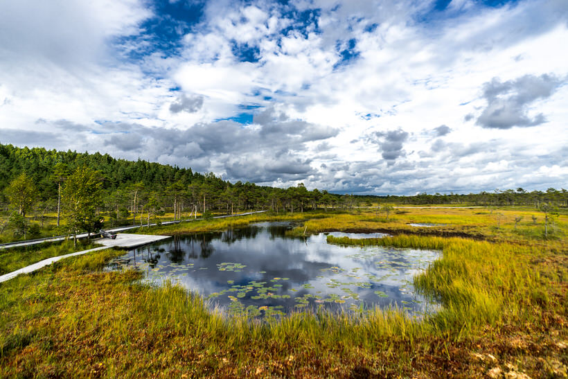 Nationalpark Soomaa