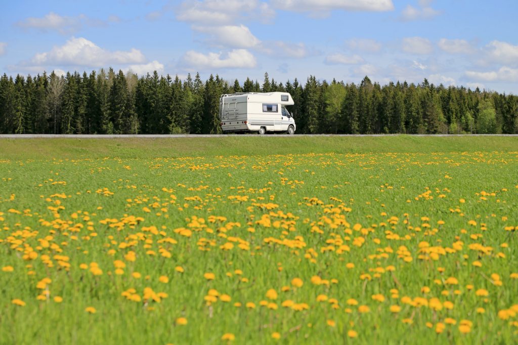 Wohnmobil vor Wiese mit Lowenzahn