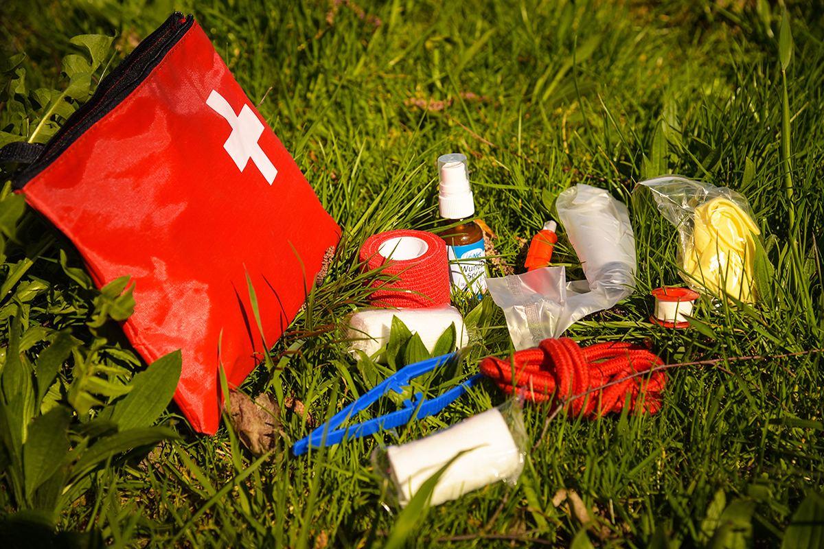 Verbandszeug, Zeckenzange sowie Desinfektionsspray gehören in die Notfallapotheke.
