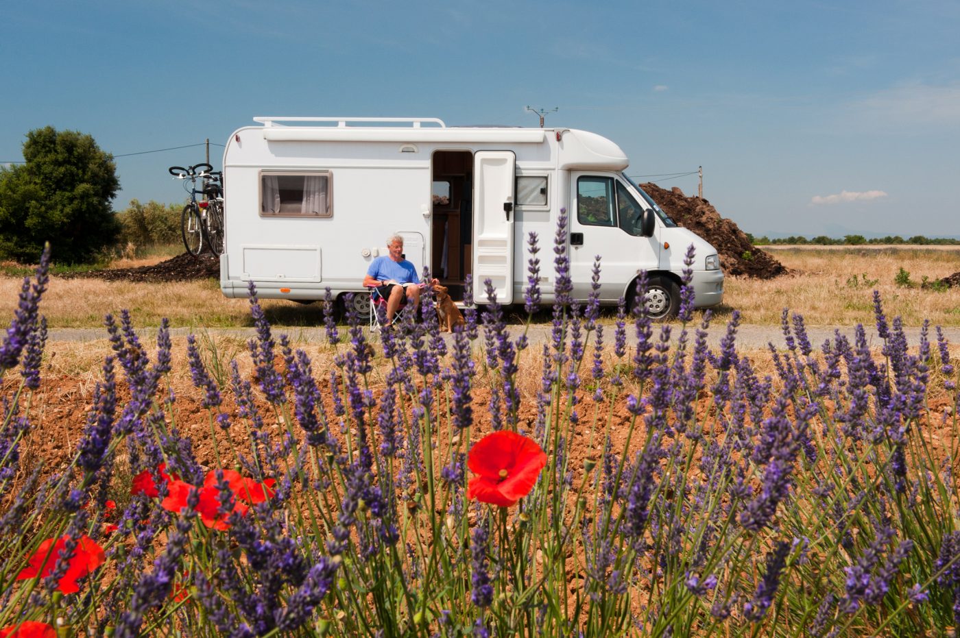 Wohnmobil steht vor einem Lavendelfeld in der Provence