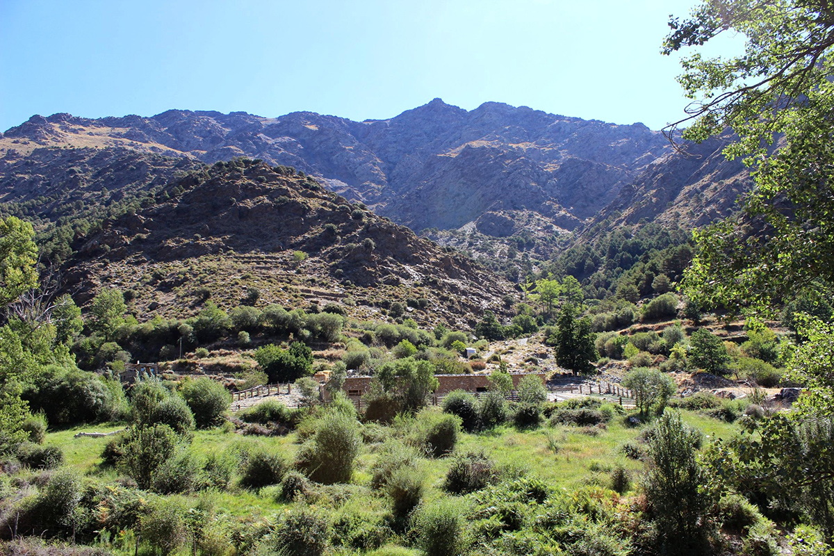 Landschaft der Sierra Nevada