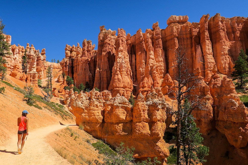 Hoodoos aus rotem Fels im Bryce Canyon Nationalpark.