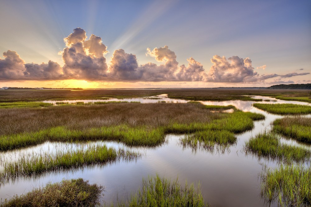 Sumpfland unter einem beeindruckenden Wolkenhimmel im Timucuan Ecological & Historical Preserve.