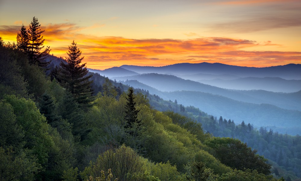 Pittoreske Landschaft im Great Smoky Mountains Nationalpark: Baumwipfel und Bergketten sind vor einem golden strahlenden Himmel zu sehen.
