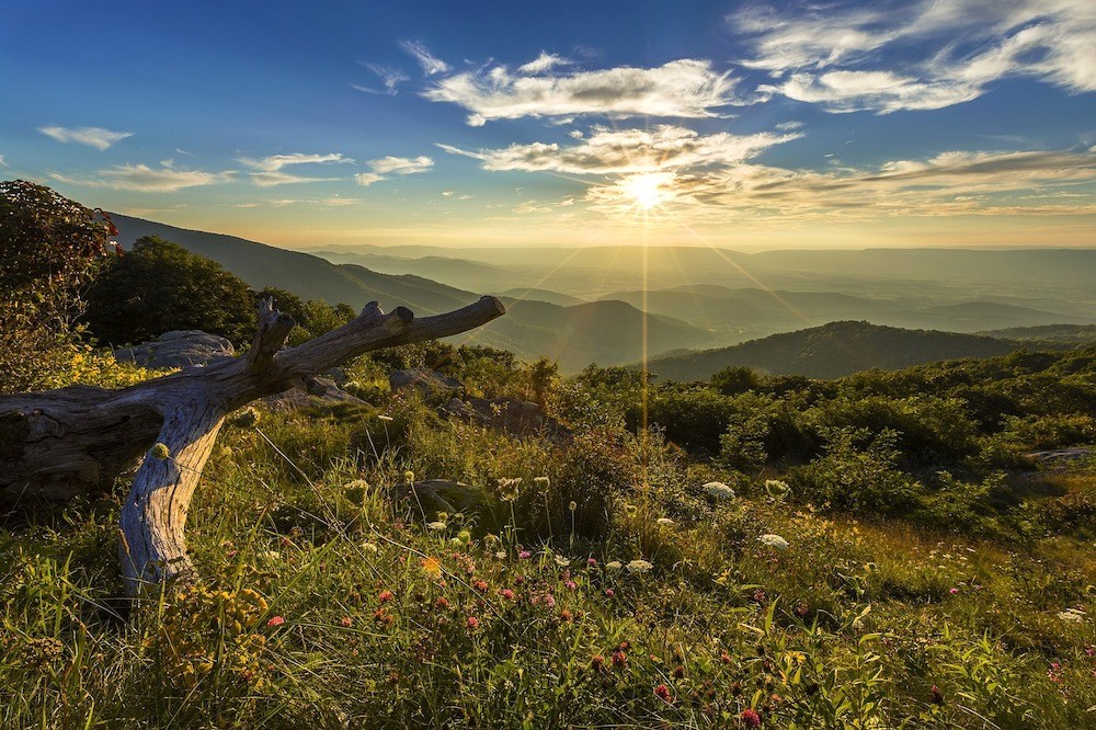 Malerische Hügellandschaft vor einem strahlenden Himmel im Shenandoah Nationalpark.