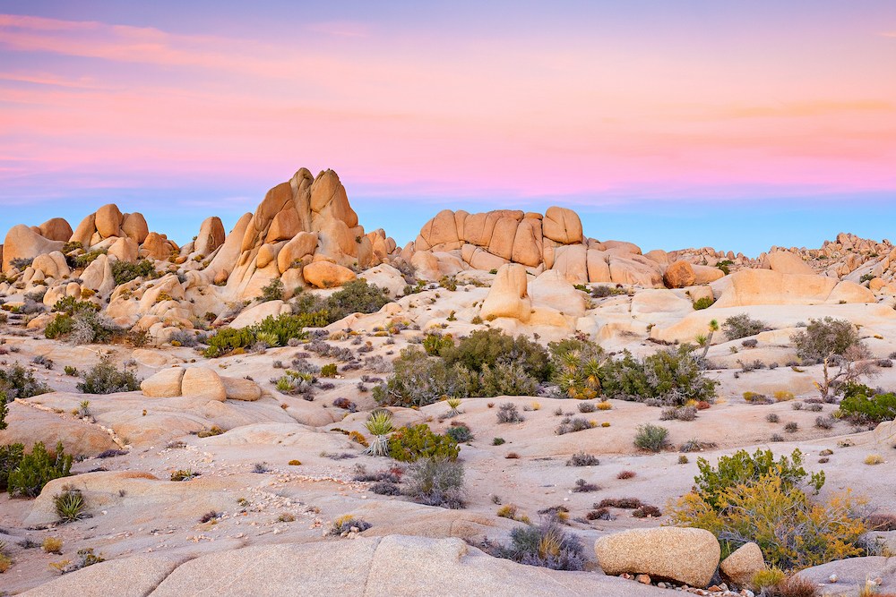 Felsen vor einem, von der untergehenden Sonne bunt erleuchteten, Himmel im Joshua Tree Nationalpark.