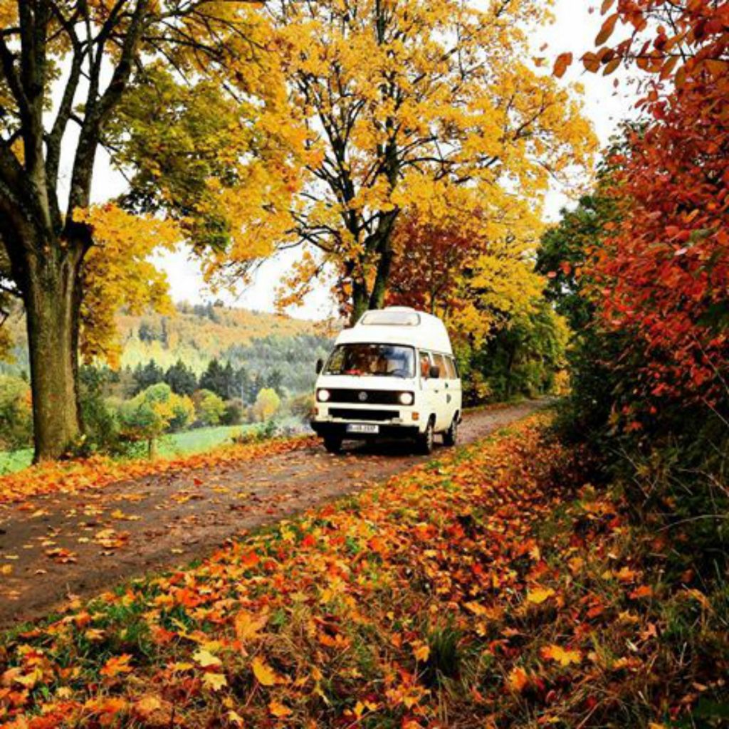 Ein VW-Bulli auf einem Feldweg im Herbst.