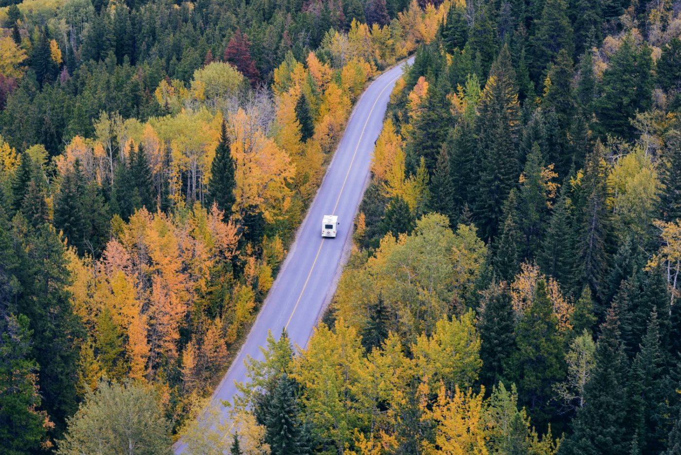 Vogelperspektive auf Camper, der durch einen herbstlichen Wald fährt.