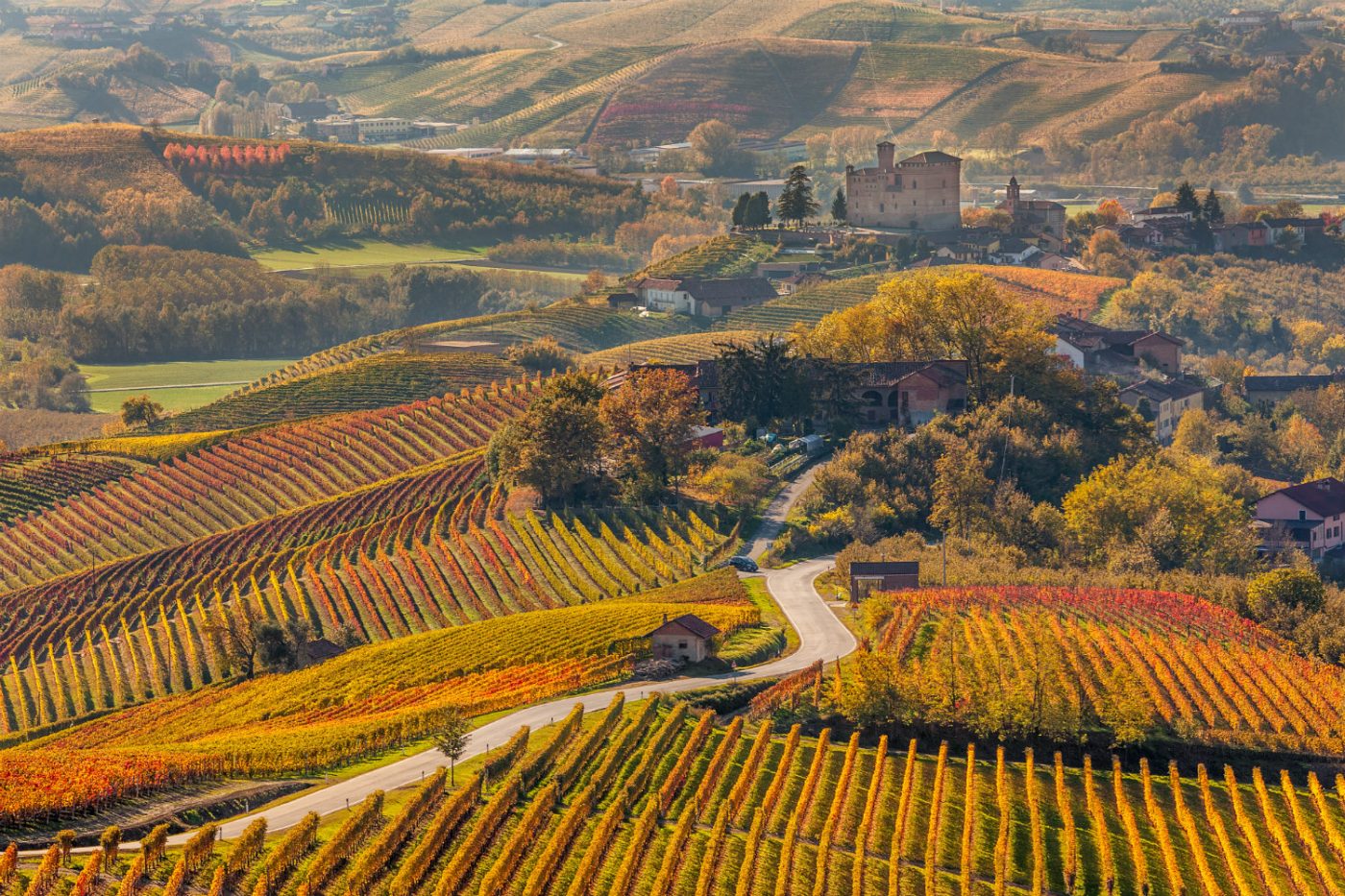 Weinberge in herbstlicher Färbung in Italien.