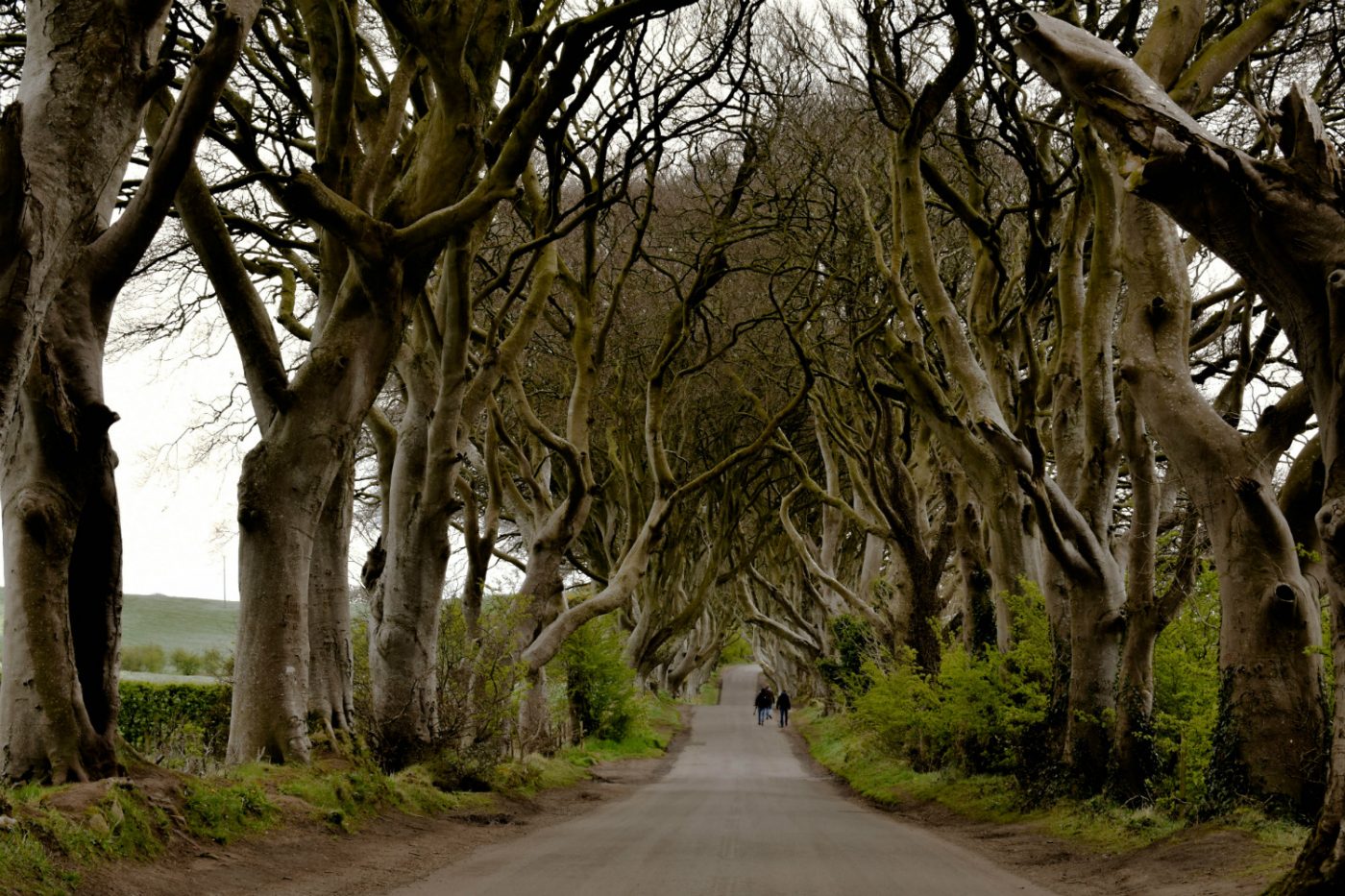 Panorma der Bregagh Road in Nordirland