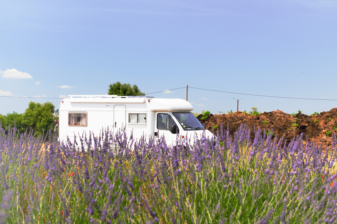 Ein Wohnmobil steht an einem blühenden Lavendelfeld in Frankreich.