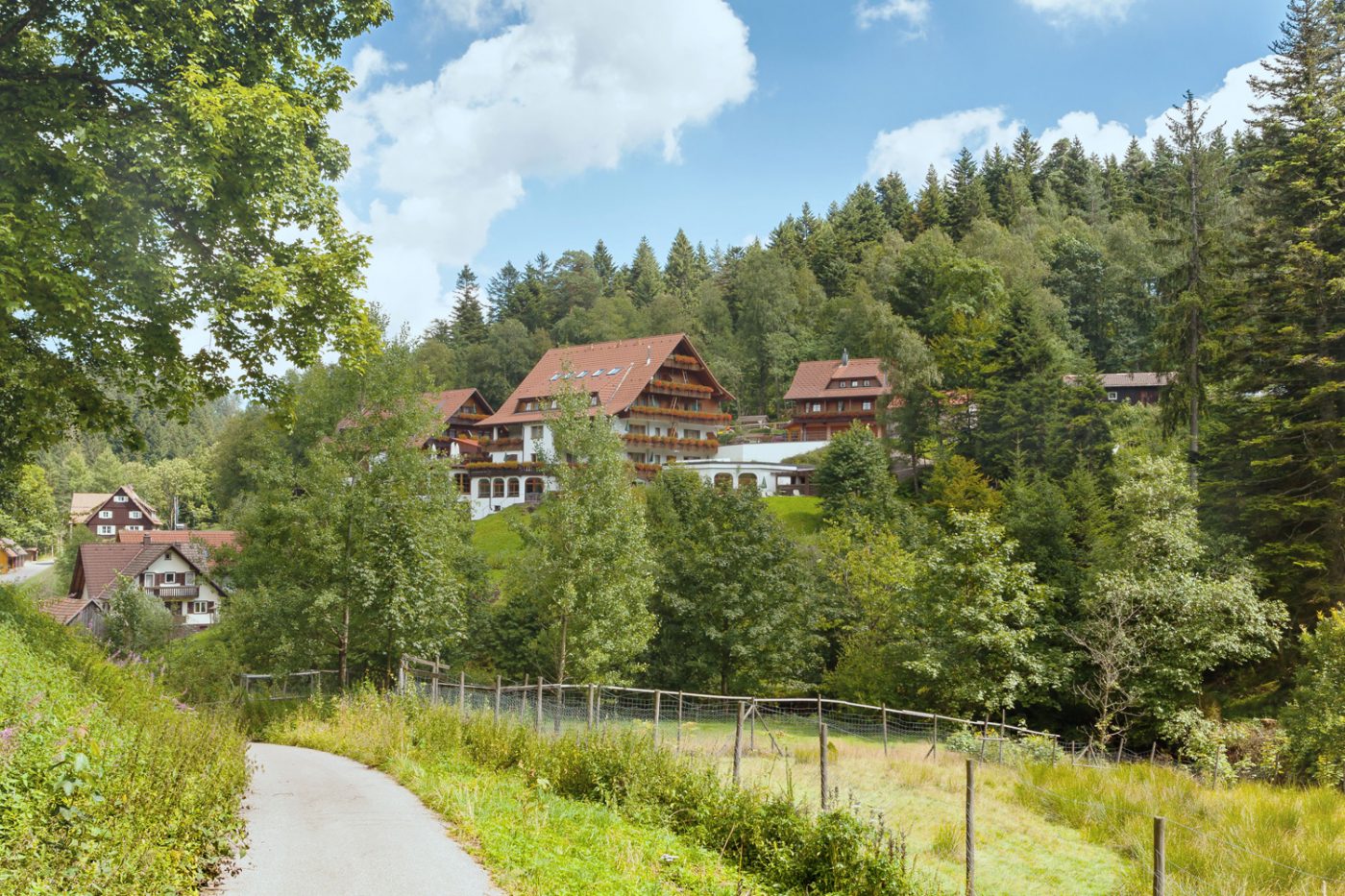 Ein Waldstück mit typischen Häusern im Schwarzwald.