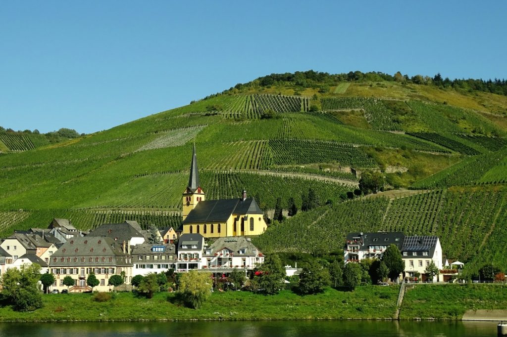 Weinberge an der Mosel