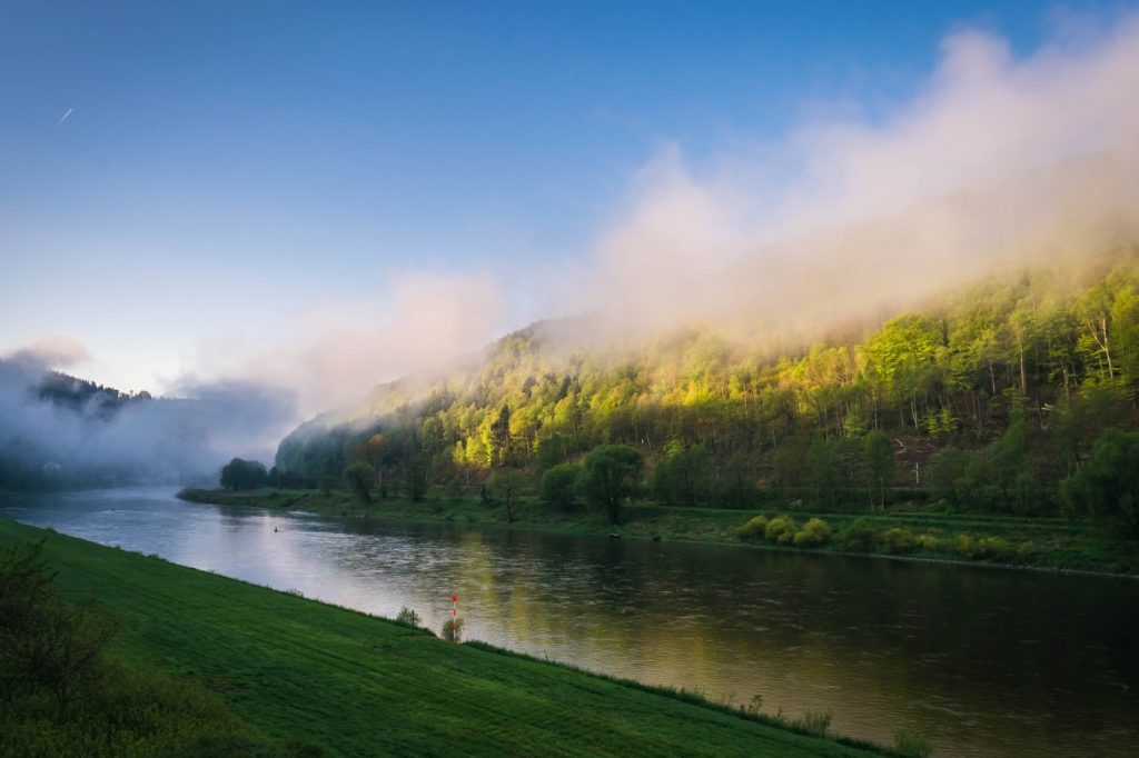 Morgennebel auf der Elbe in der Sächsischen Schweiz