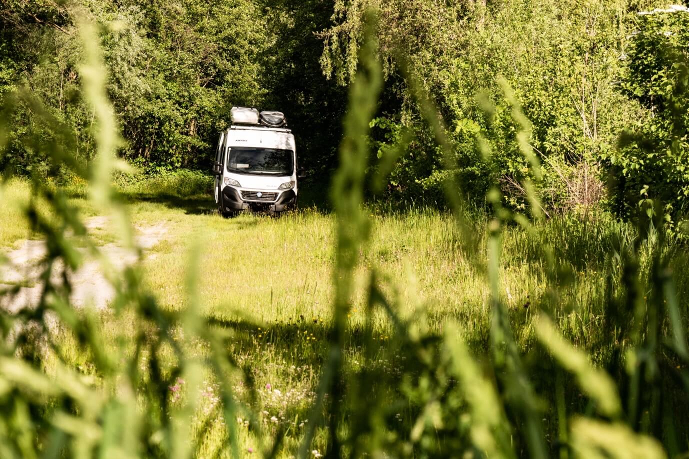 Kastenwagen parkt am Waldrand im Sommer