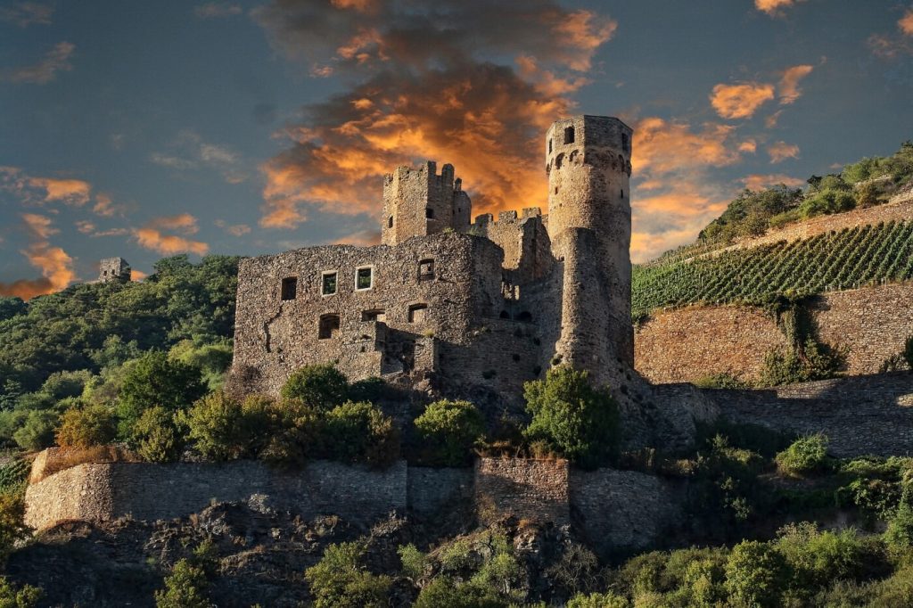 Burgruine am Rhein in den Weinbergen bei Sonnenuntergang