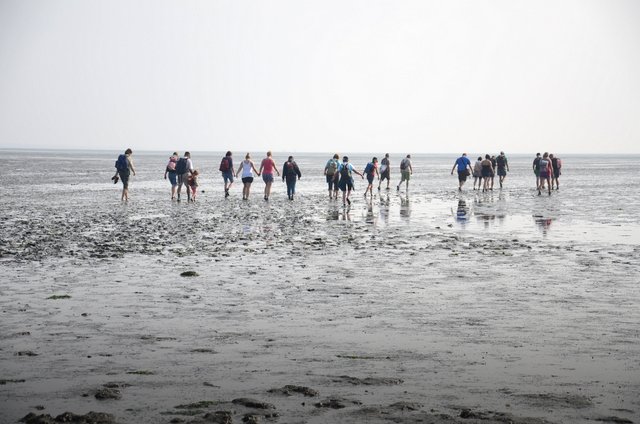 Wattwanderung bei Cuxhaven