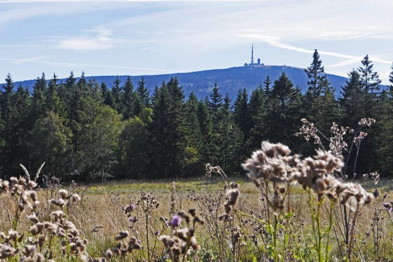 Nationalpark Harz: Wandern, Skifahren, Sightseeing und mehr