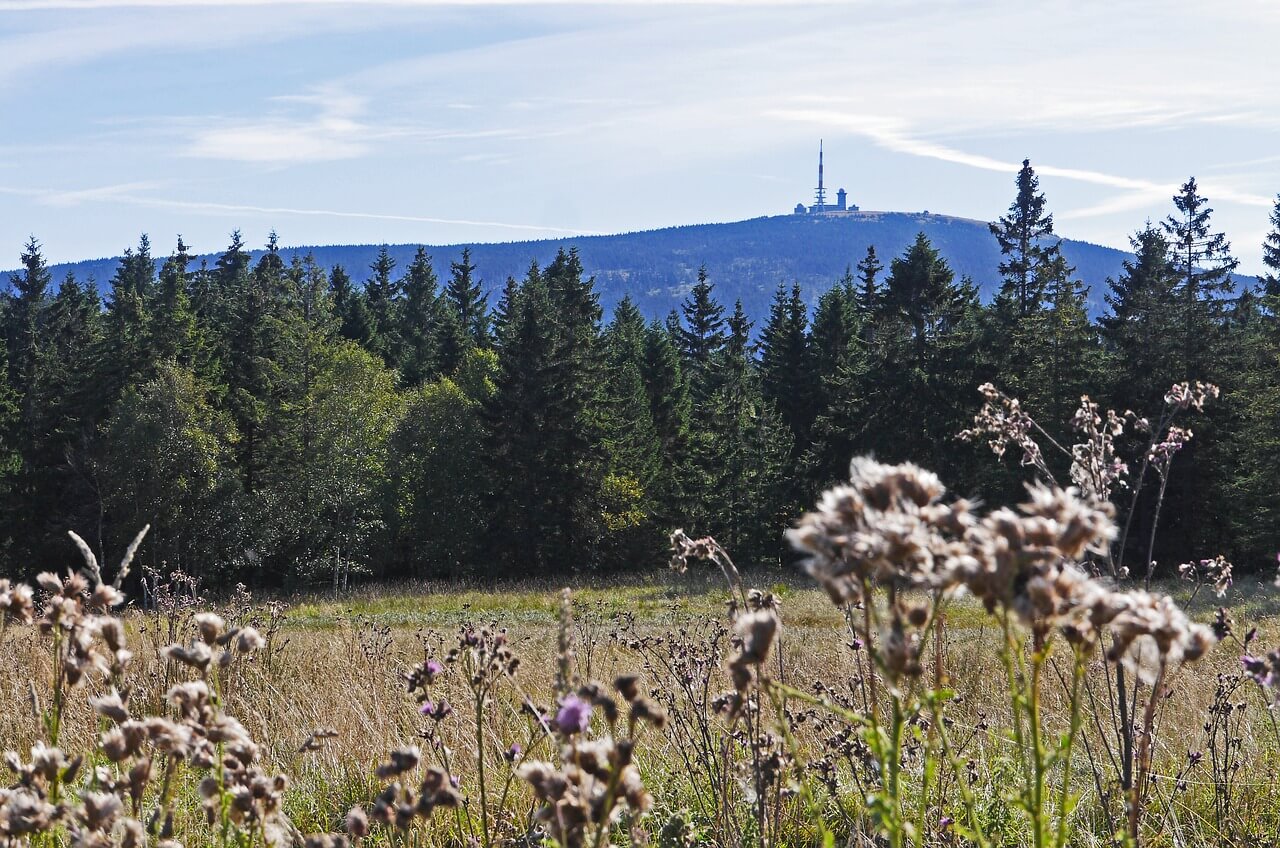 Blick auf den Brocken im Nationalpark Harz