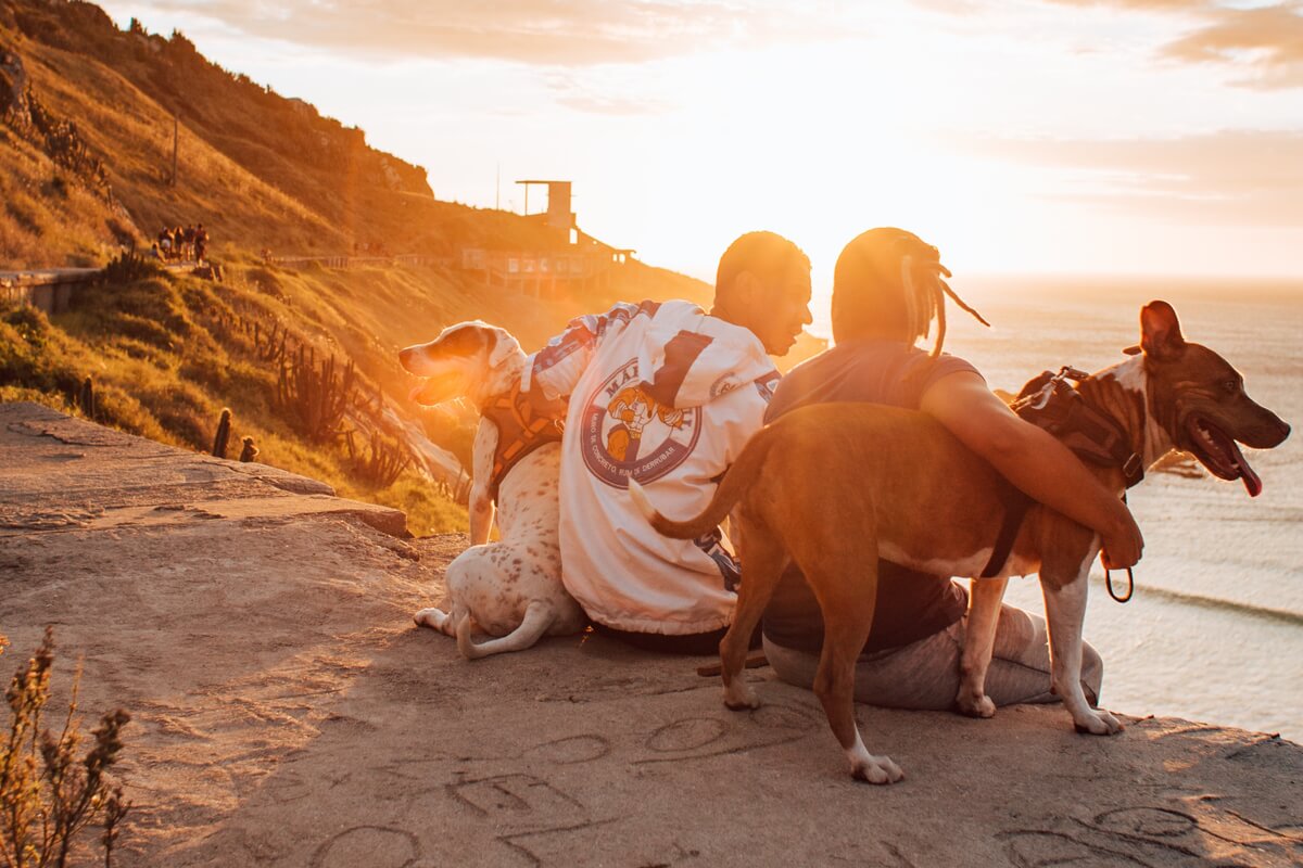 Paar mit Hunden an der Mittelmeerküste bei Sonnenuntergang
